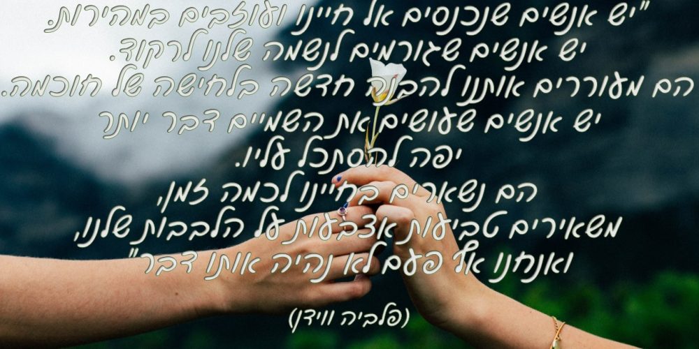 משפטי חוכמה ארגון שחר